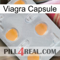 Viagra Capsule 24